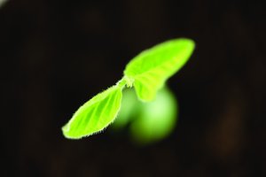 指标采集能力提升的实战路径